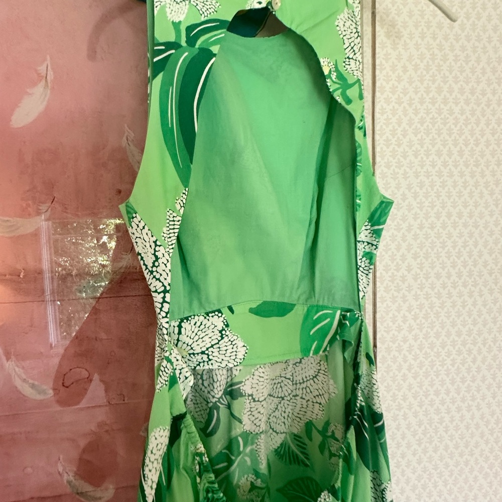 Green Farm Rio Maxi Dress - Picture 6 of 6